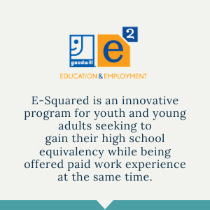 A program overview description of E-Squared